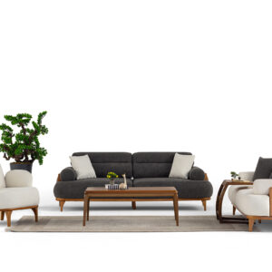 Asel Koltuk Takımı