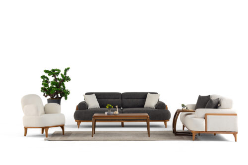 Asel Koltuk Takımı